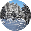 Christine LE BIHAN profile picture